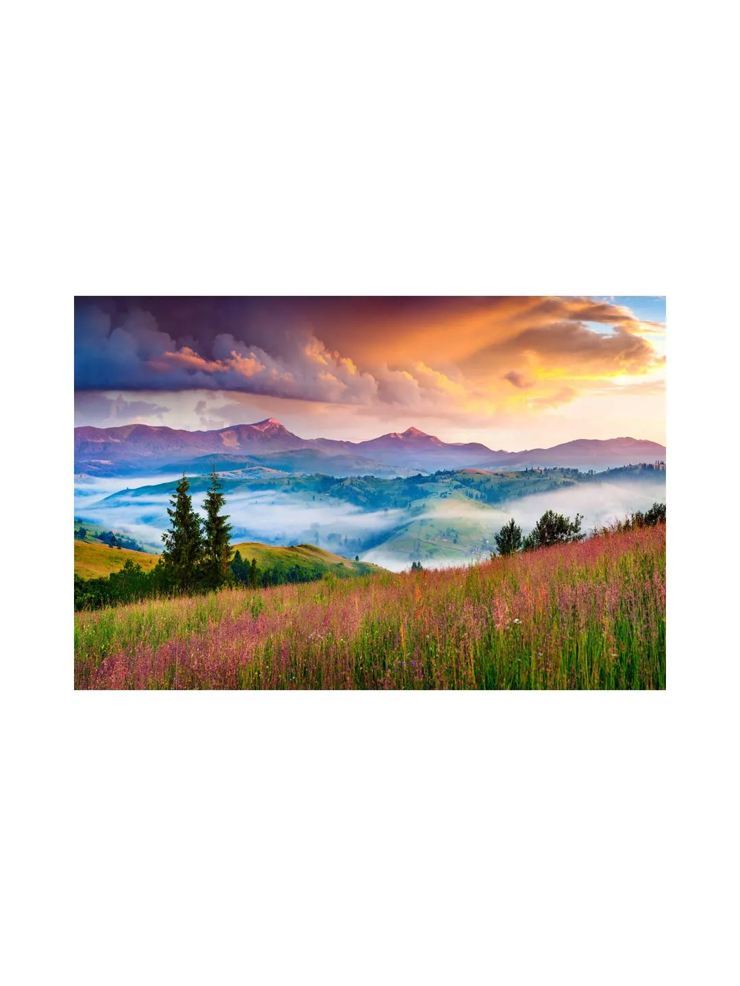 999Store Wooden Stretched Framed painting wall paintings for bedroom Wall art living room décor with frames Natural Scenery Flowers Field canvas modern stylish home hanging ( Canvas 24X36 Inches Strectched Canvas) FLP24360257