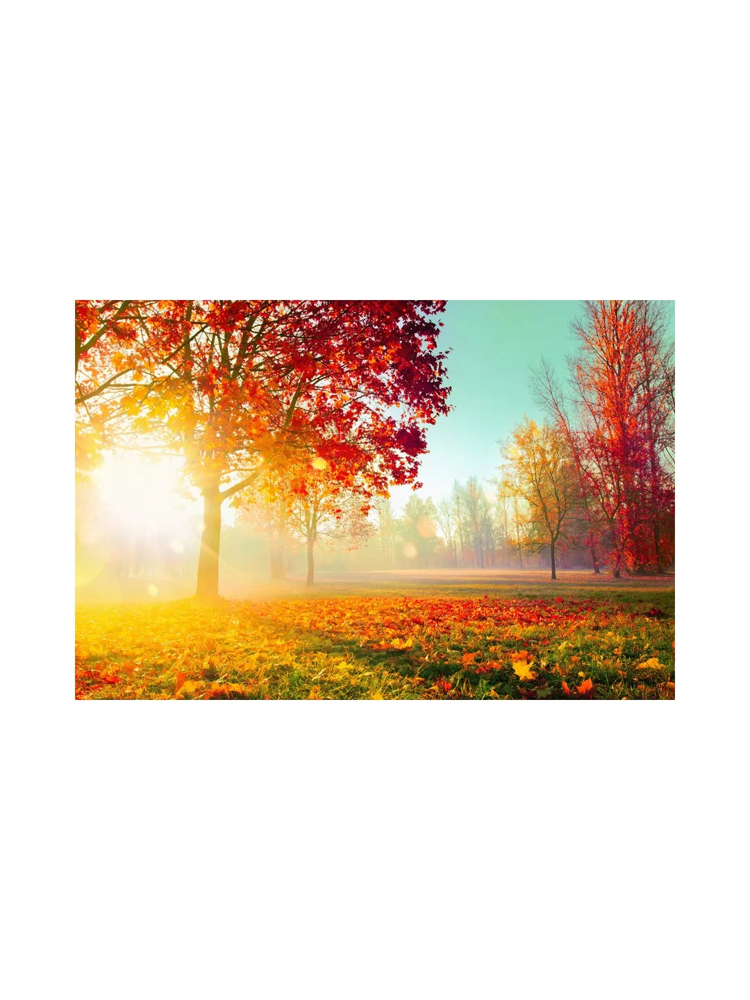 999Store Wooden Stretched Framed wall painting paintings for bedroom Wall art living room décor with frames Sunrise Behind The Red Leaves sunrise painting for wall decoration ( Canvas 24X36 Inches Strectched Canvas) FLP24360130