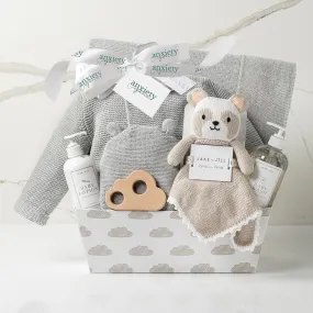 Bundle of Joy Baby Gift Basket in Gray