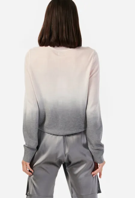 Cami NYC Lucinda Sweater Ballet Ombre