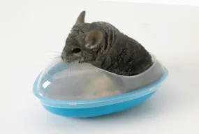 CHINCHILLA  WELLNESS BATH