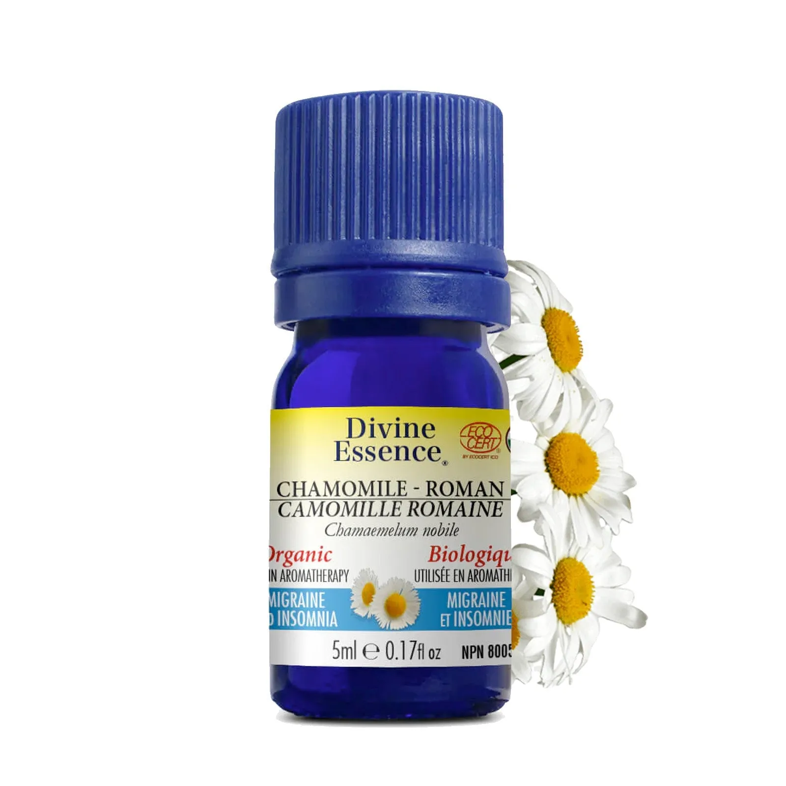 Divine Essence Organic Roman Chamomile (5ml)