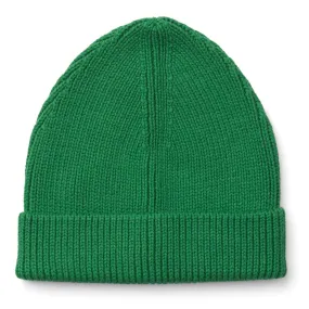 Ezra Beanie Hat ''Amazon Grass''