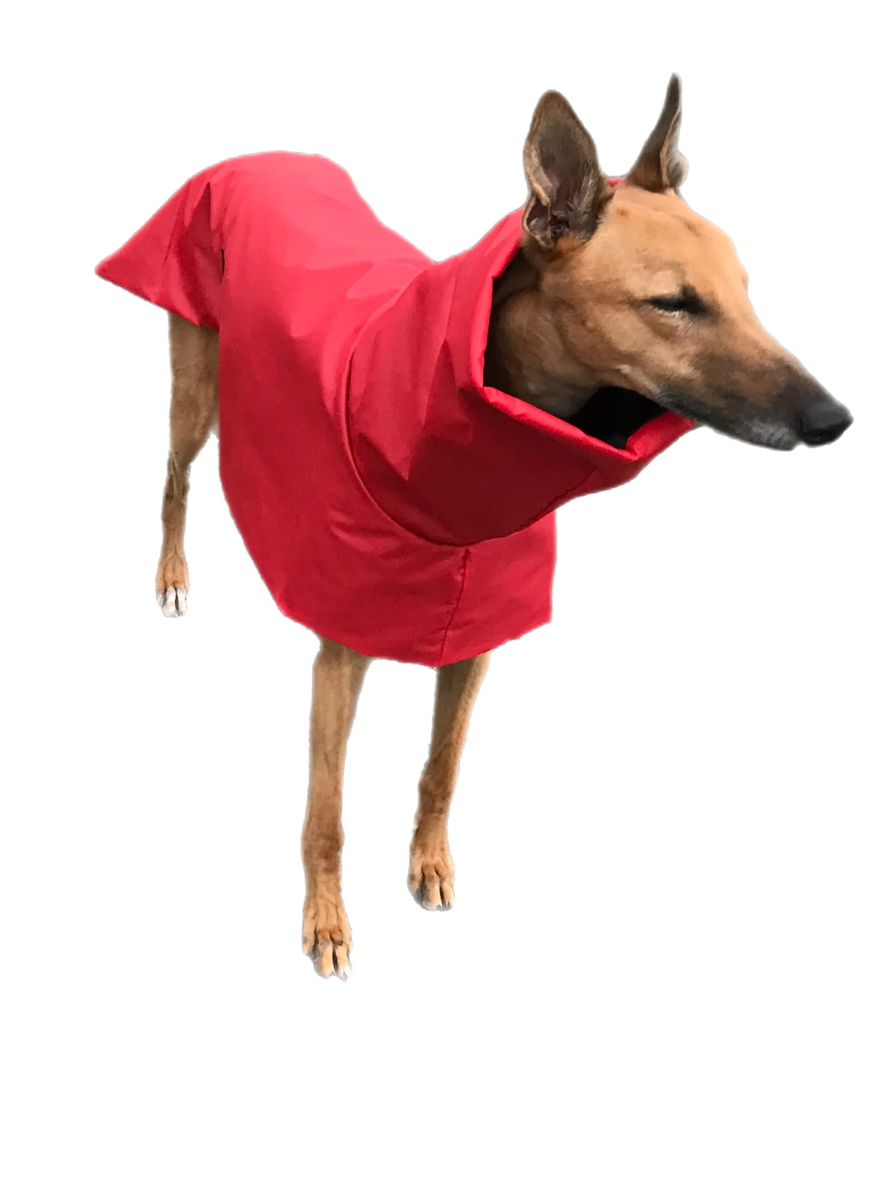 Flame red super soft Greyhound coat deluxe style, summer rainwear, washable