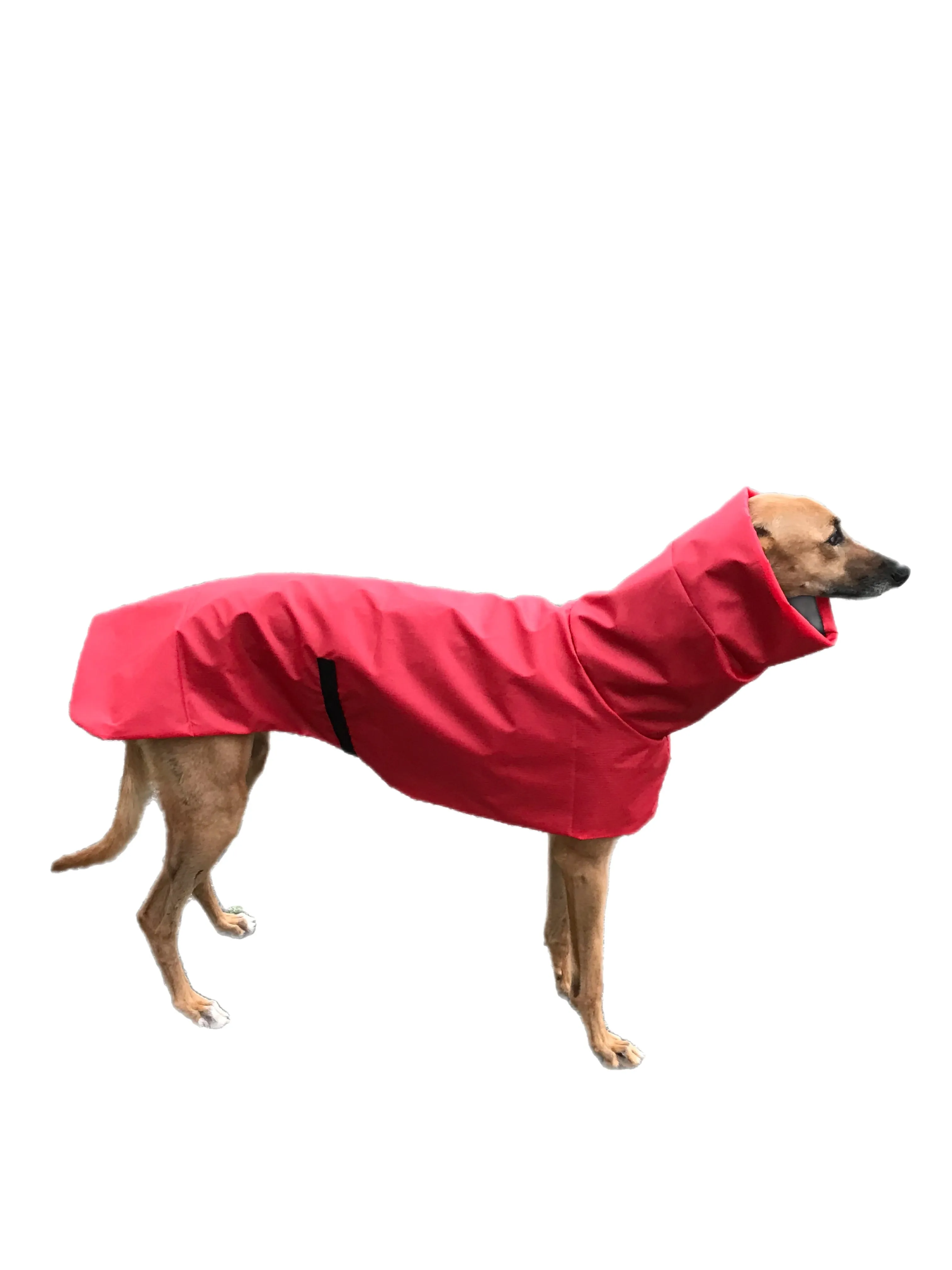 Flame red super soft Greyhound coat deluxe style, summer rainwear, washable