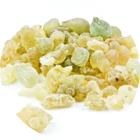 Frankincense Serrata Essential Oil - Living Libations