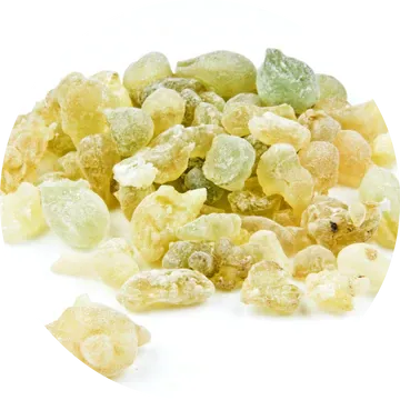 Frankincense Serrata Essential Oil - Living Libations