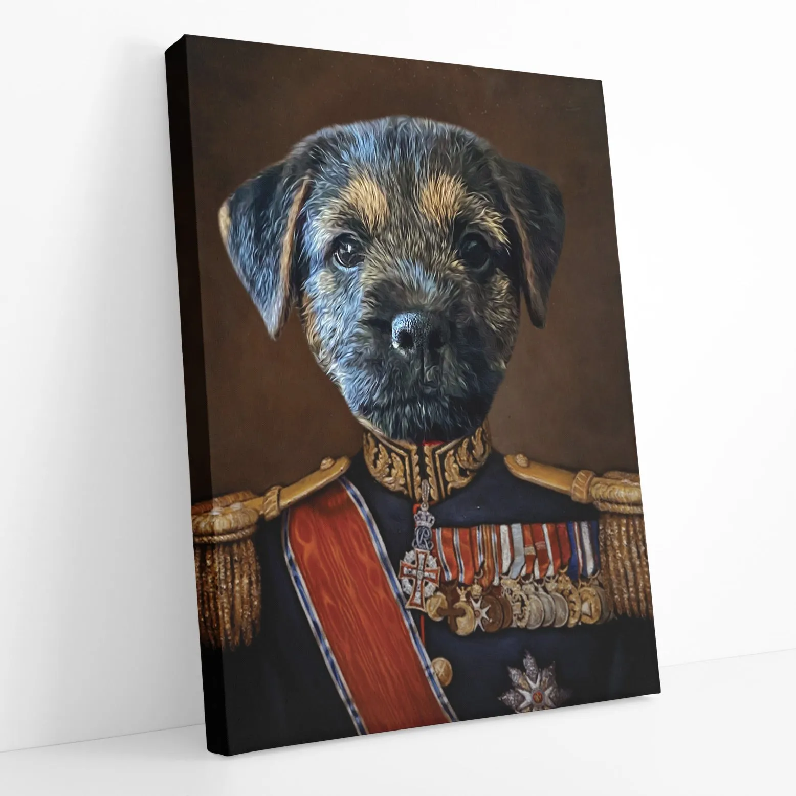 Major Dog Portrait