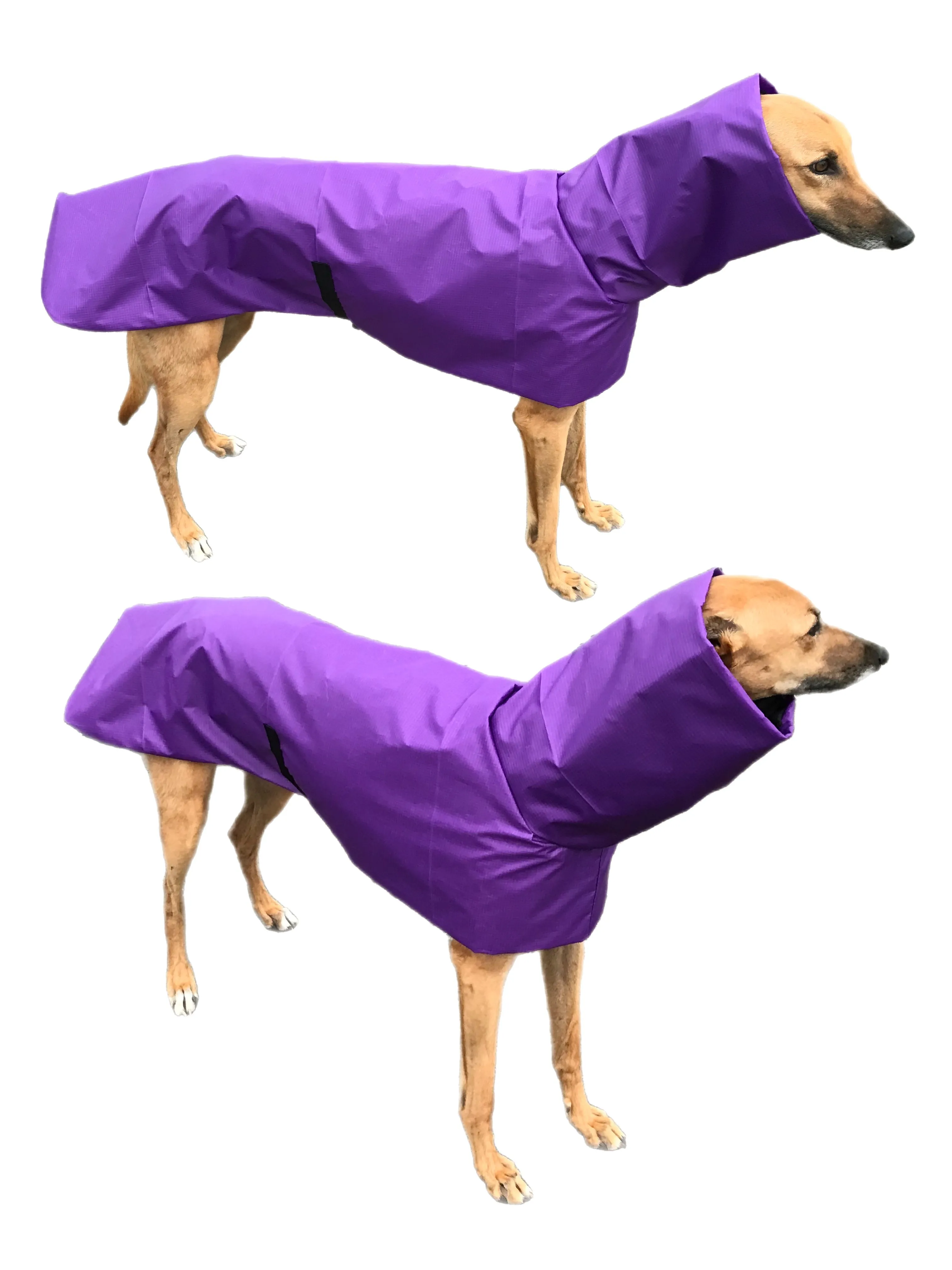 Purple super soft Greyhound coat deluxe style, summer rainwear, washable