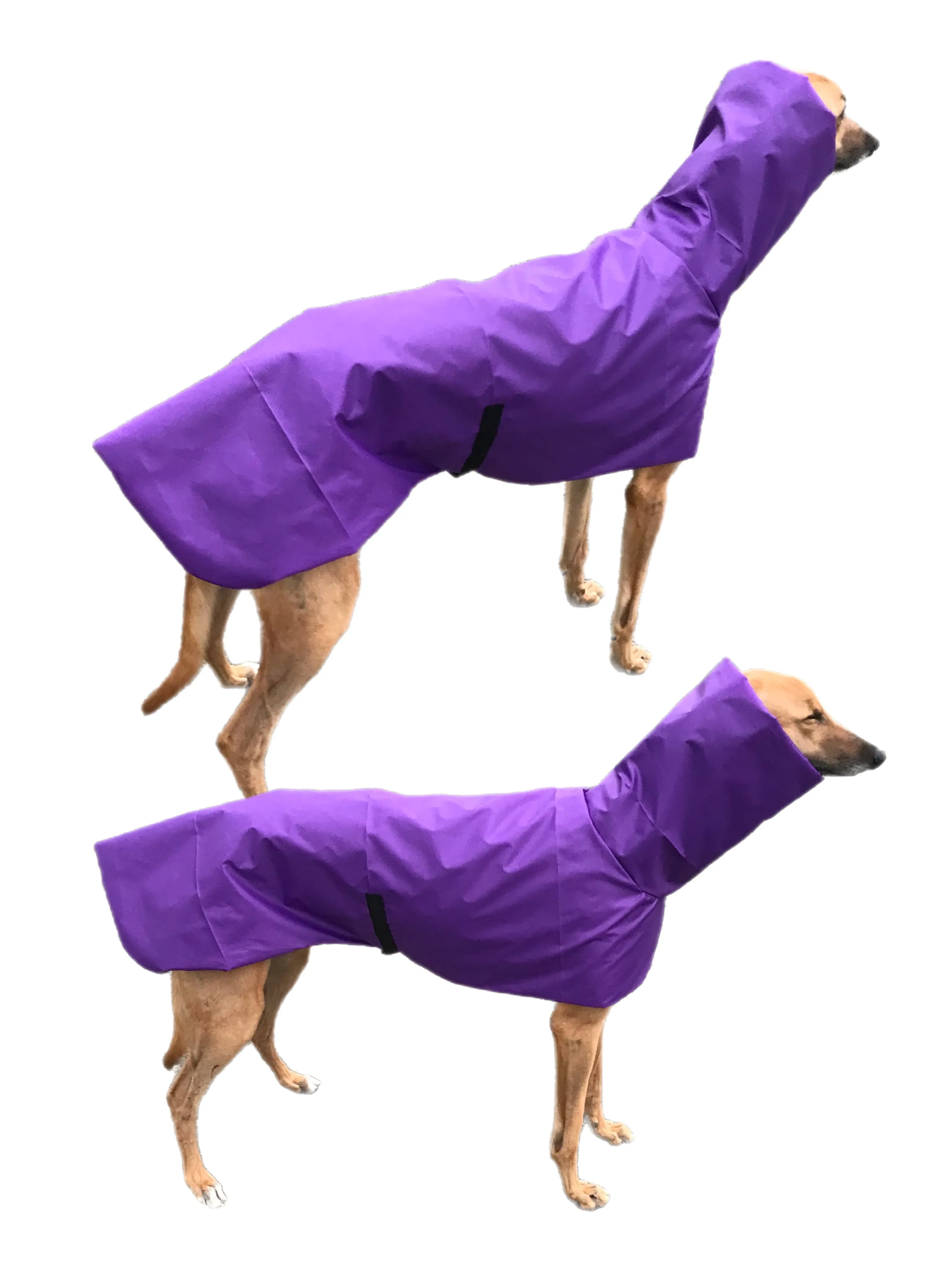 Purple super soft Greyhound coat deluxe style, summer rainwear, washable