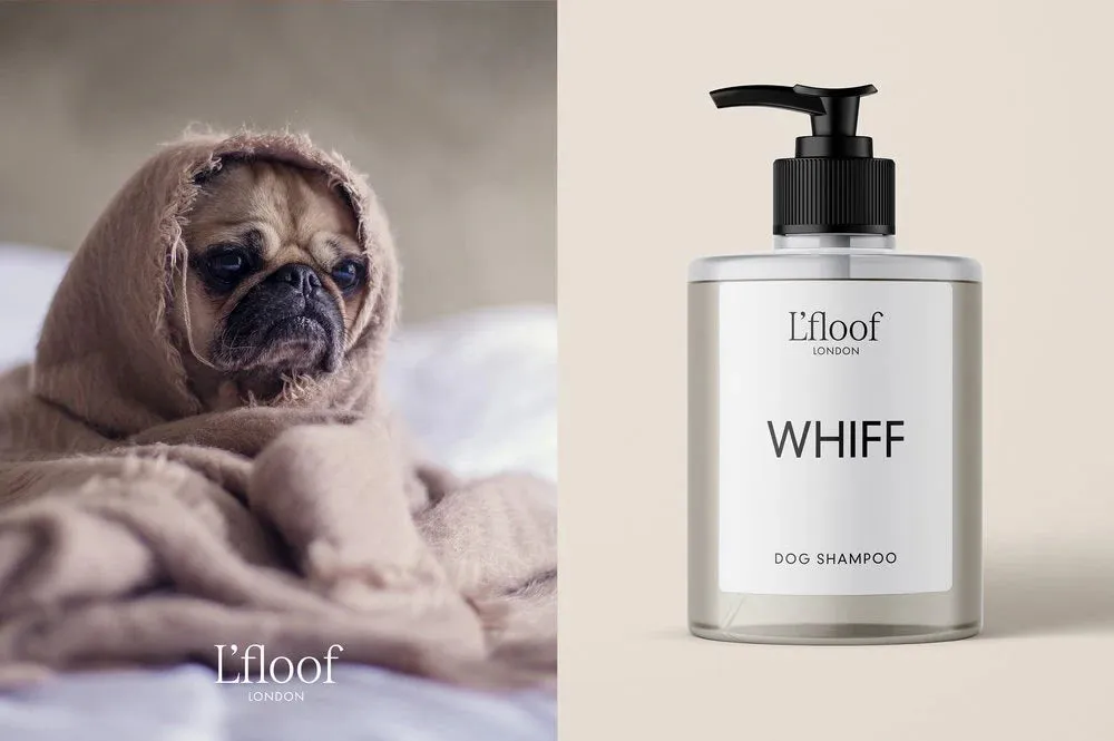 WHIFF |  Natural Sweet Orange Oil Dog Shampoo 500ML